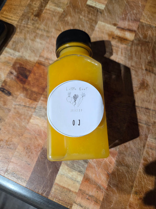 The "Curious Beginner" Starter Pack