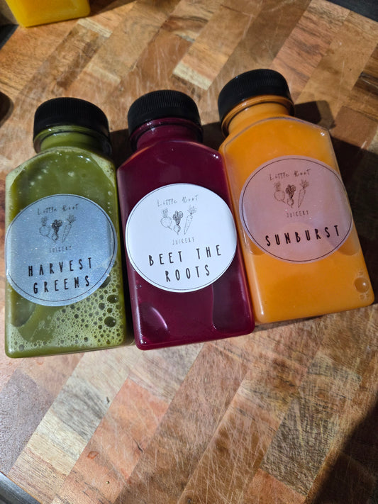 The "Curious Beginner" Starter Pack